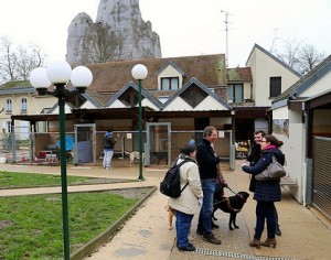 Ecole de Chiens guides d'aveugle. Crédits Pierre-Clément Julien